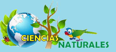 5TO. GRADO "B" - CIENCIAS NATURALES - MAT25