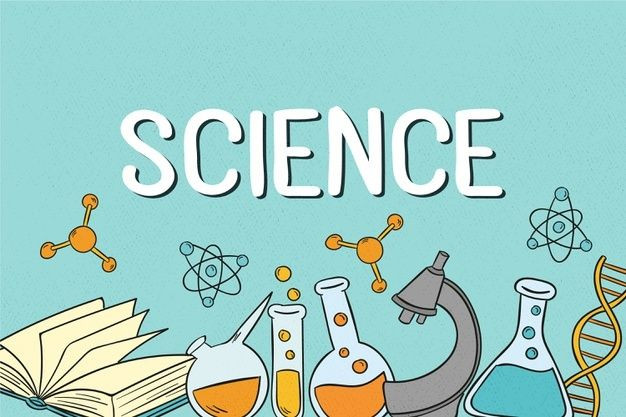 6TO. GRADO "A" - SCIENCE - MAT25